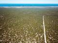 At $120,000 for the best part of 1000 acres, it has to be some of the cheapest land for sale in southern Australia - bordered by the Great Australian Bight and The Nullabor. Pictures from Kilby Stock & Station agency