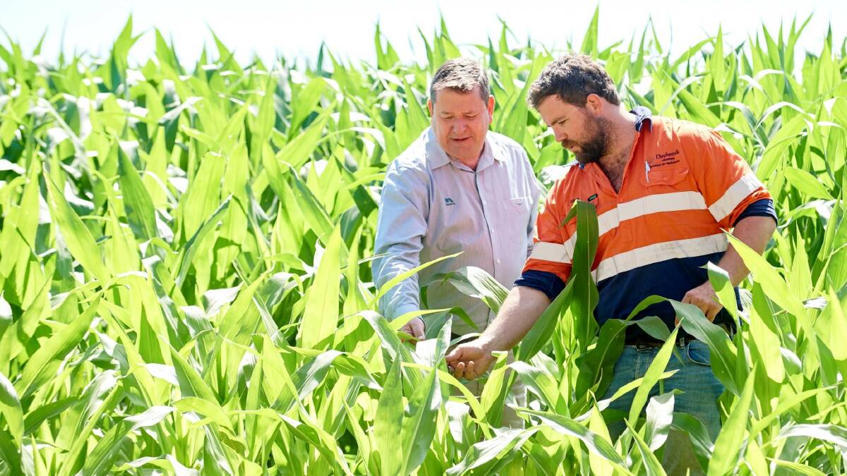 Nufarm managing director and chief executive Greg Hunt (left) in the field. Picture: supplied.