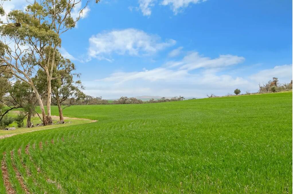 There was strong competition for this land at a public auction on Thursday. Pictures from Ray White Rural.