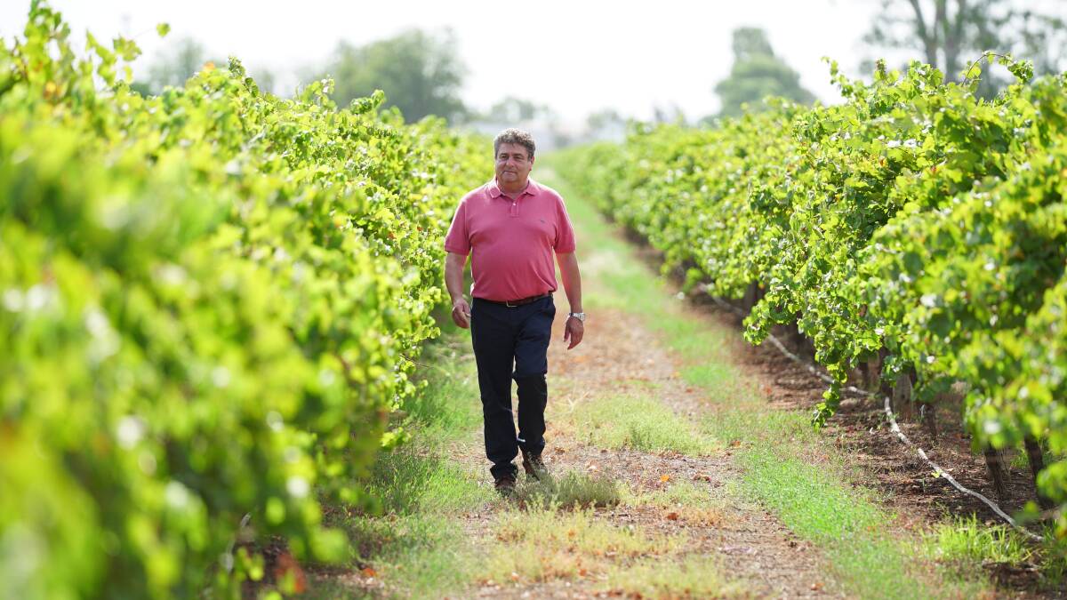 The Casella family is teaming up with Canada's agricultural investor PSP Investments, selling some vineyards, signing a partnership deal for others. 