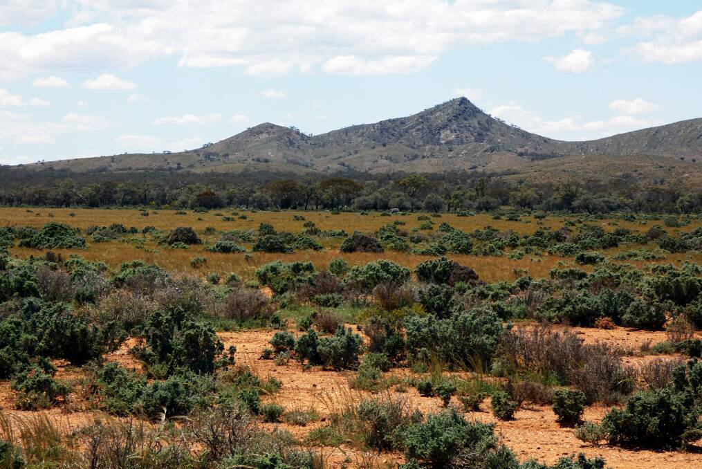 Stewart Wells Station in the Upper North of South Australia is on the market for around $1.1 million. Pictures from Wardle and Co.