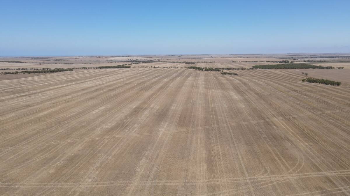 South Australia's Yorke Peninsula lived up to its reputation for prized cropping country with $9.9 million paid for two adjacent lots across 307 hectares (760 acres) for an incredible $13,026 per acre. Picture supplied.