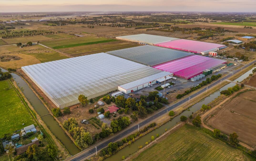 The Van den Goor family's 21 hectare Katunga Fresh glasshouse in northern Victoria has been solxd on a lease-back deal. Picture from Centuria.