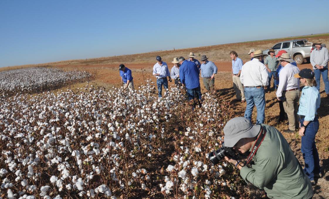 Lots of interest in a cotton growing field day in the Top End. 