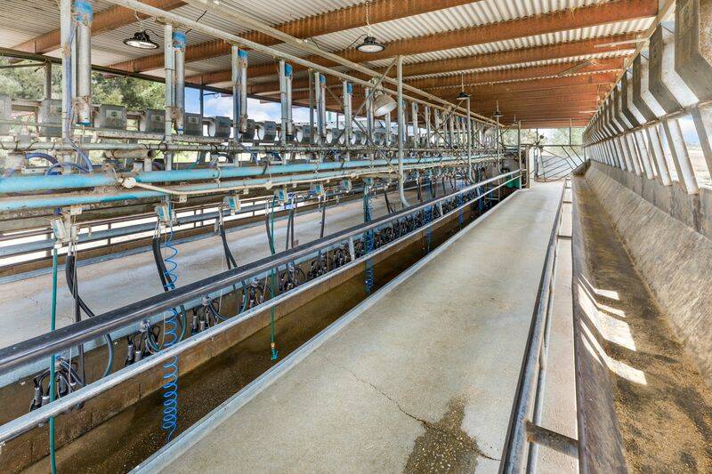 High production dairy farm near Kerang for sale
