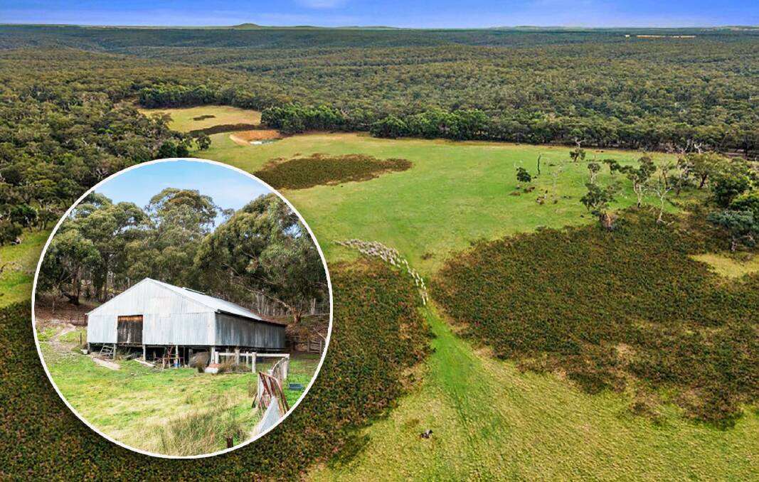 REMOTE FARM: A clearing in the wilderness of the Brisbane Ranges - this long-held family farm is being offered for sale for the first time since 1877. Pictures: Charles Stewart.