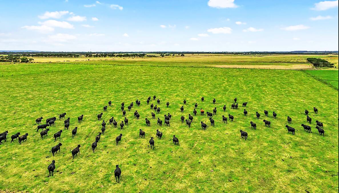 A large-scale grazing property is back on the market in South Gippsland. Pictures: LAWD.