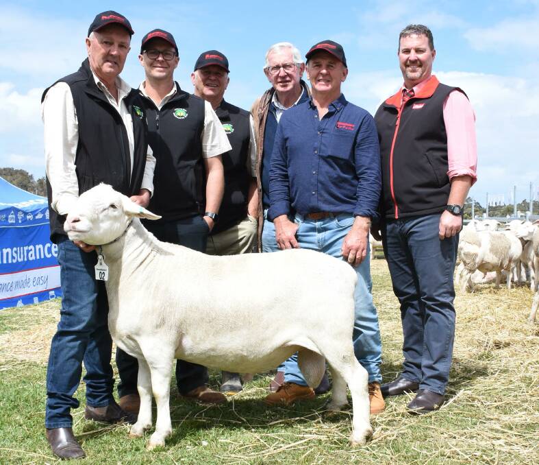 One of the top prices paid in the National SheepMaster ram sale at Elleker several years ago was $85,000 for this ram from the SheepMaster parent stud, White Dog Lane, Elleker, which was purchased by the Blackwood stud, Boyup Brook in partnership with NSW-based studs Wild Oat, Beckom; Montarna, Arumpo and Janaree, Cobar. With the ram were Elders stud stock manager Tim Spicer (left), Elders stud stock auctioneer Nathan King, buyers Phil Corker and Martin Bleechmore, Blackwood stud and White Dog Lane stud's Brian Prater and Neil Garnett.