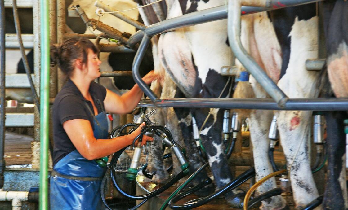 A major survey of school students found most believe dairy farmers milk their cows by hand and not with the use of modern machines.