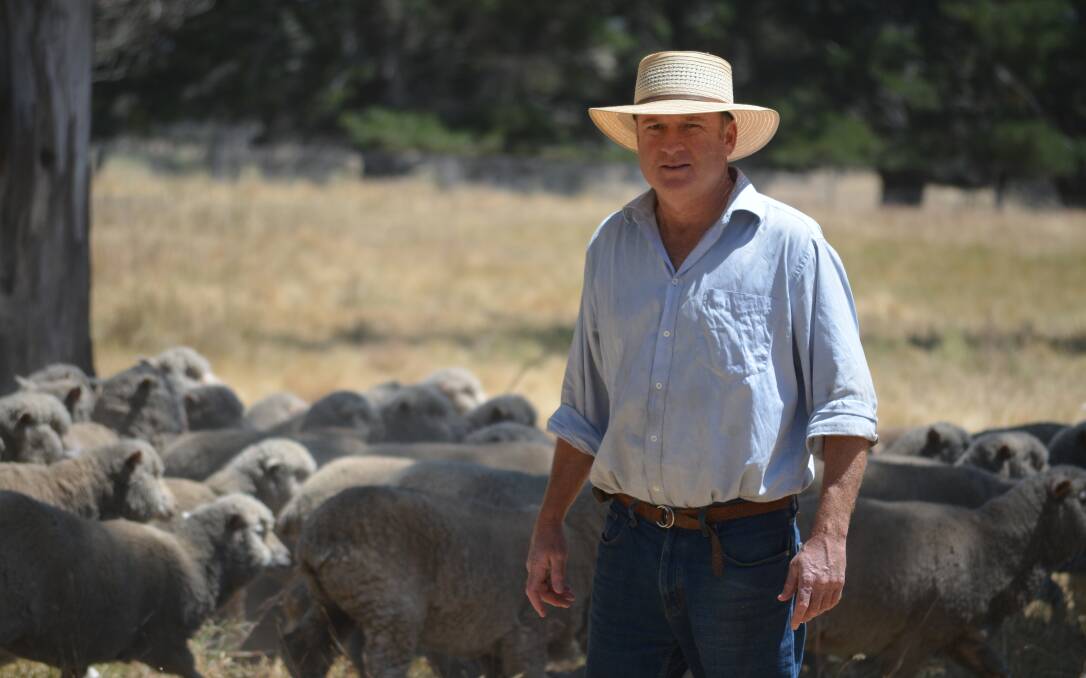 WoolProducers Australia president Ed Storey from Yass in NSW asks growers to reject AWI's call to increase levies.