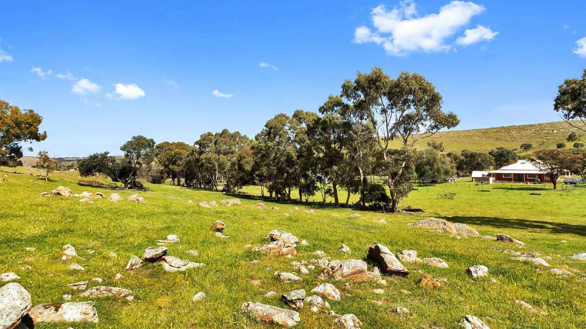 Little farm east of Adelaide selling with century-old homestead