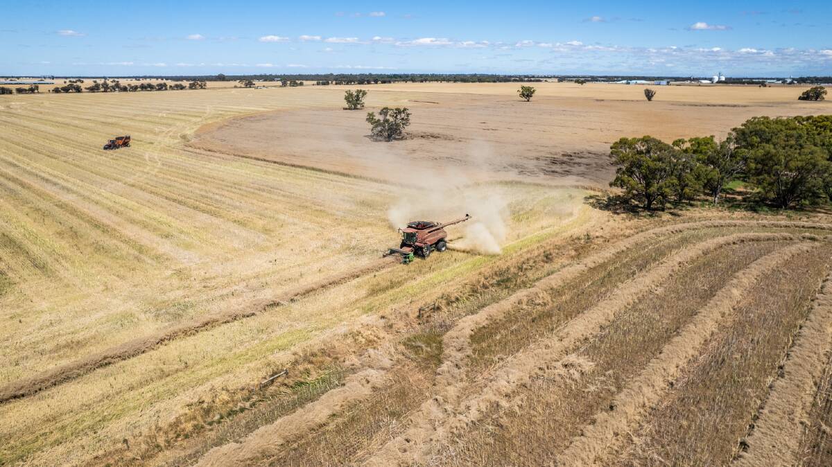 A big pay day for the owner of this cropping country just outside Warracknabeal. Pictures from Elders Real Estate