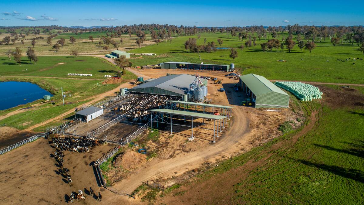 One of Australia's blue chip dairy farms is on the market walk-in walk-out in the Tamworth region. Pictures from Colliers
