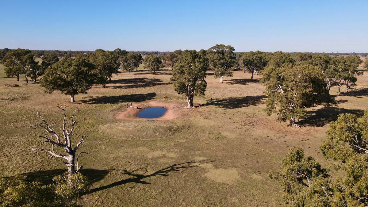 A neighbour paid a handsome $955,000 for the three small paddocks - $8233ac ($20,319ha). Picture: TDC Livestock and Property.