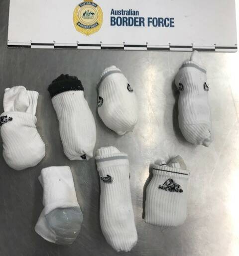 PLOT HATCHED: Airport police heard smuggled wildlife eggs hatching as a Sydney man tried to return back to Australia. Pictures: Australia Border Force.
