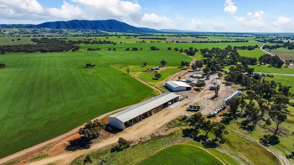 Mixed auction results but $8.4m still paid for two Shanahan farms in SA