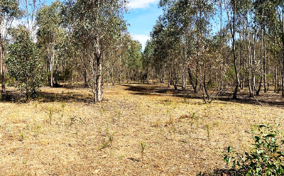 This block is on the main street of a once bustling gold rush town but little of that remains today, it is on the market for $59,000. Pictures from Cantwell Property Castlemaine.