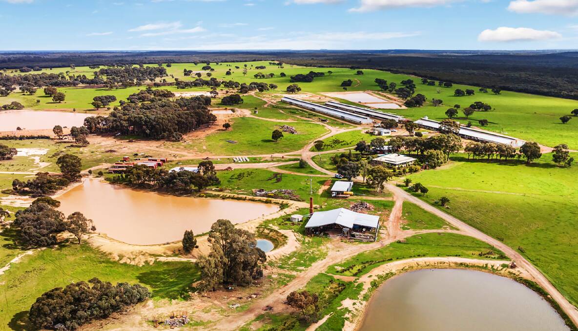 This former commercial piggery near Bendigo offers a range of farm opportunities for the new owner. Pictures from Elders Real Estate Bendigo.