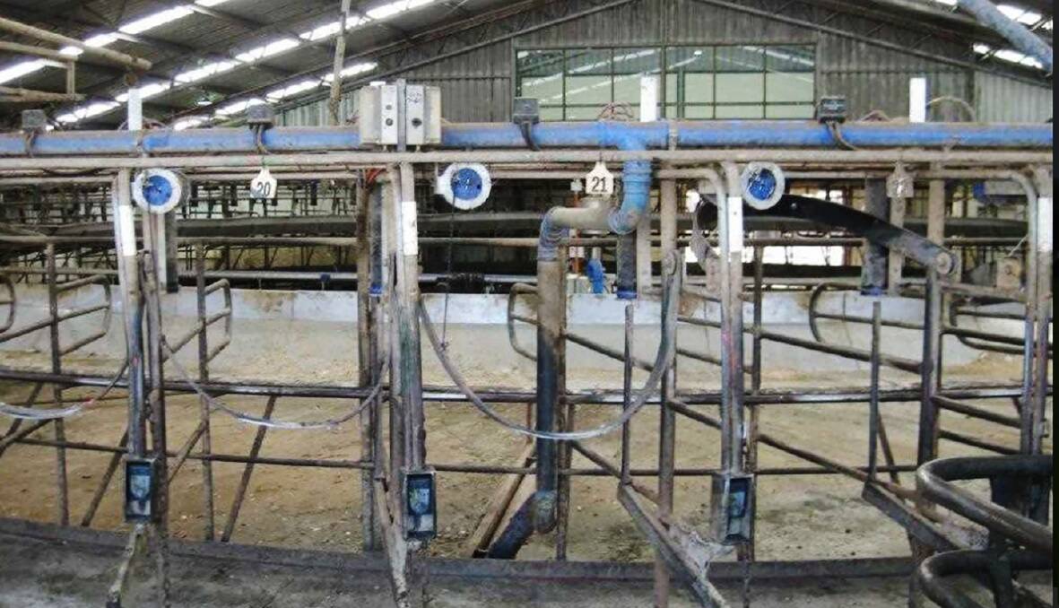 The Woolnorth operation still has eight big rotary dairies.