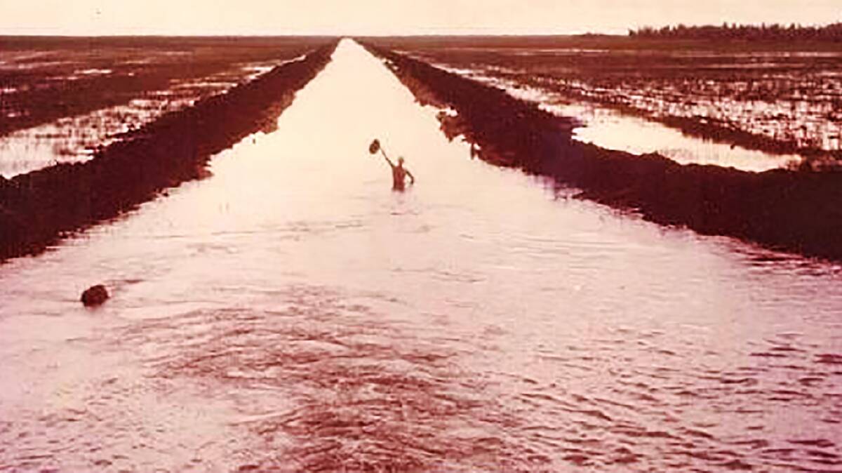 An irrigation channel was built from Fogg Dam in 1962 to irrigate seedlings. Picture: NT government.