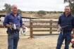 Graziers promote safety and speed in switch to drone mustering