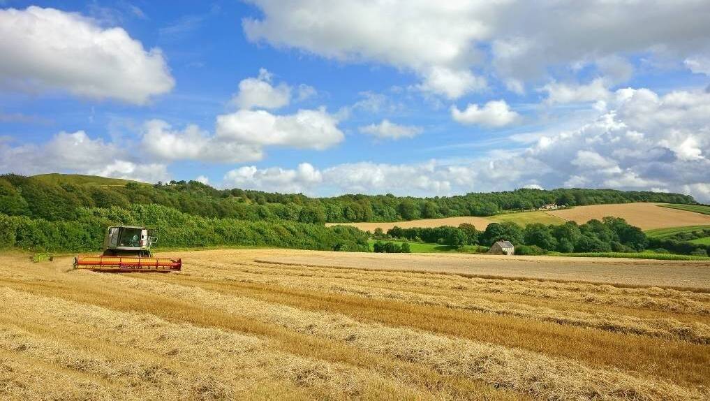 More than a third of farm income in the UK can come from government subsidies.
