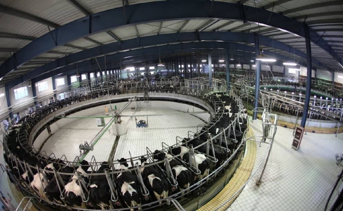 China's Modern Dairy is another vast operation which once held the "biggest farm" title.
