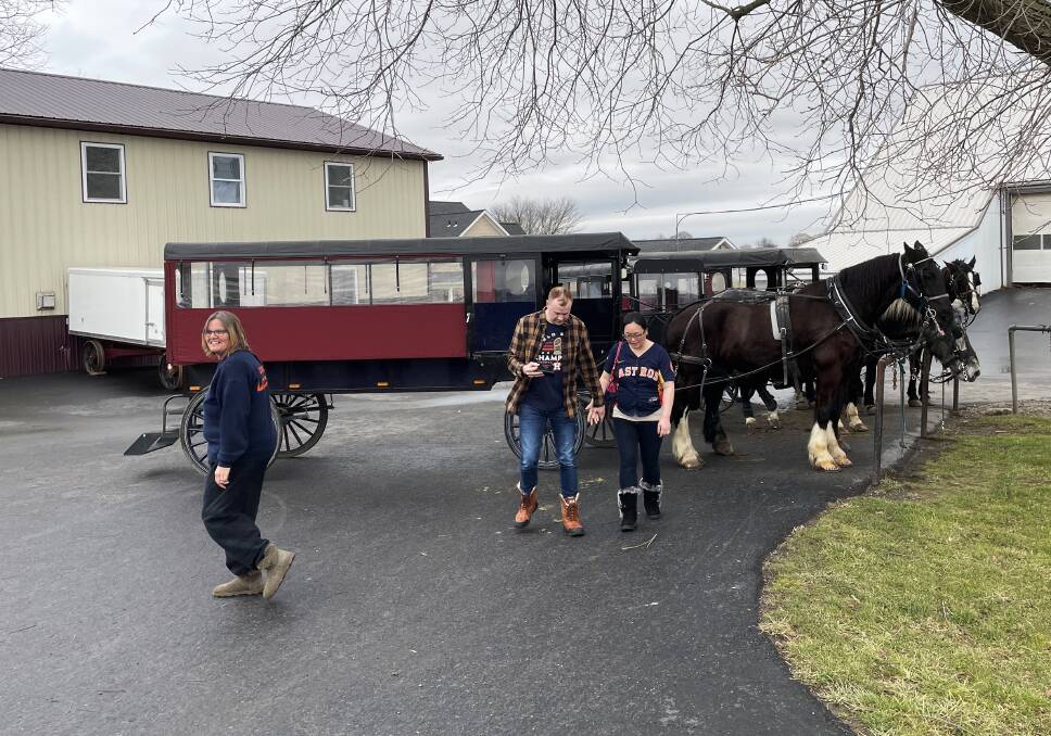 Curious tourists are welcomed onto Amish farms.