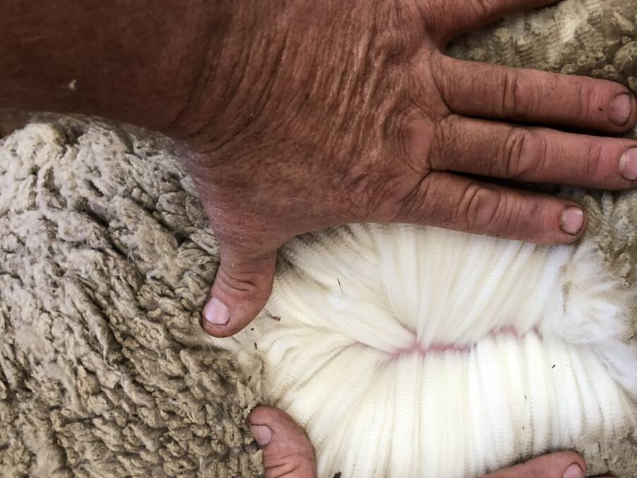 Therr are about 50,000 Australians heavily reliant on the wool industry.