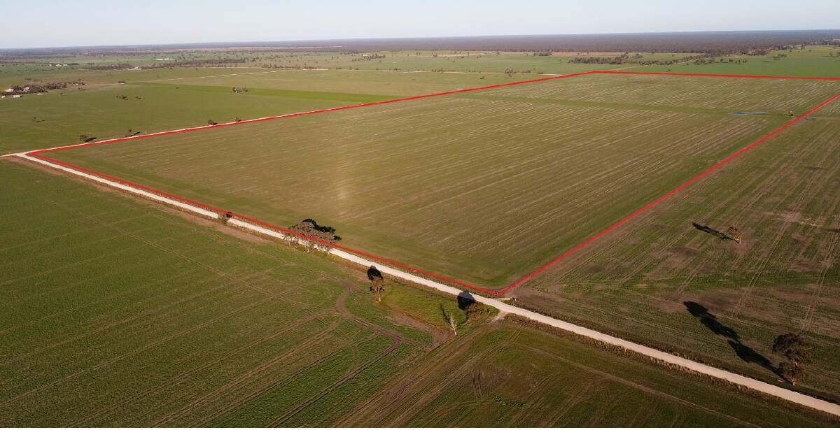 Just short of 300 acres is on offer on the SA side of the border.