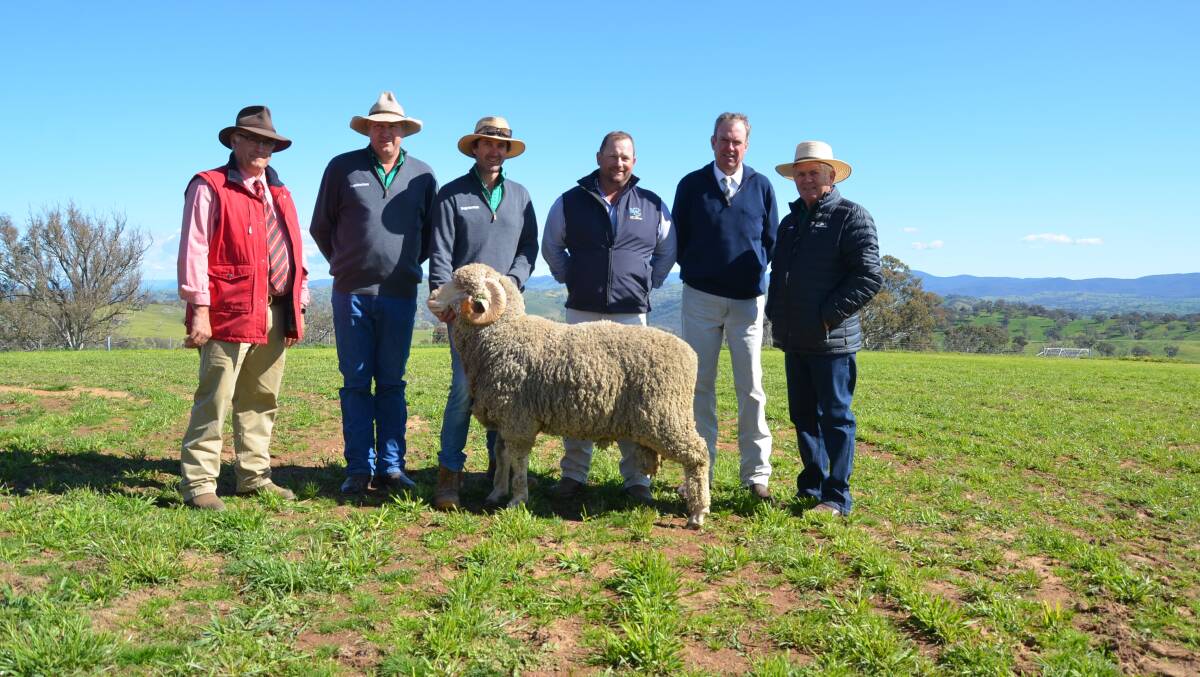 RAM SALE: Pictured at a recent Bogos Merinos ram sale on the property at Cavan Station near Yass. Cavan general manager Matt Crozier is second from left. 