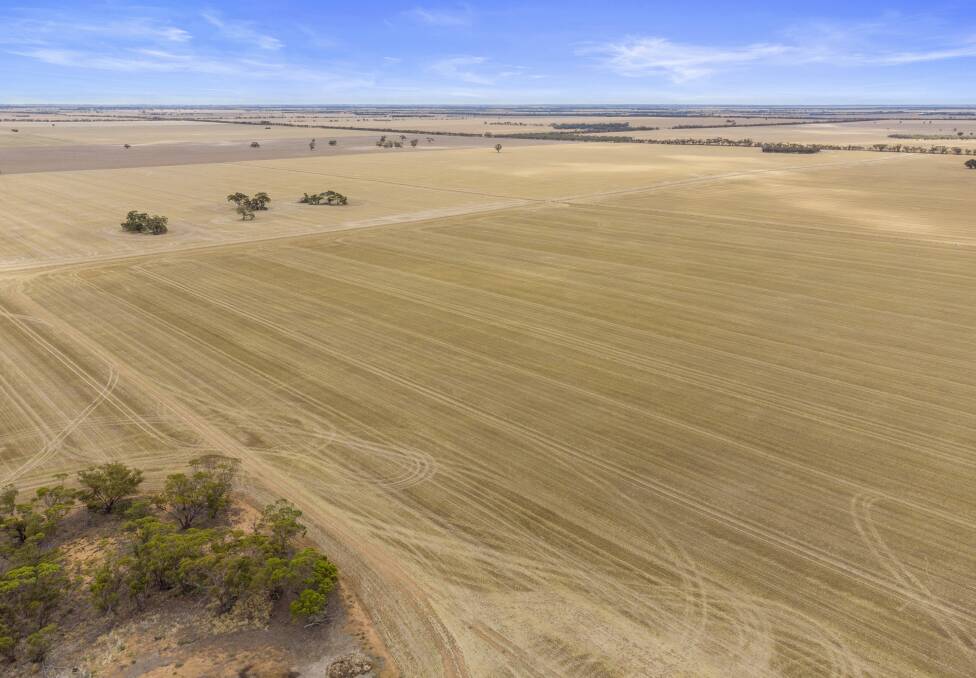 LARGE SCALE: Big tracts of cropping country in the Victorian Mallee are in demand. Pictures: Colliers.
