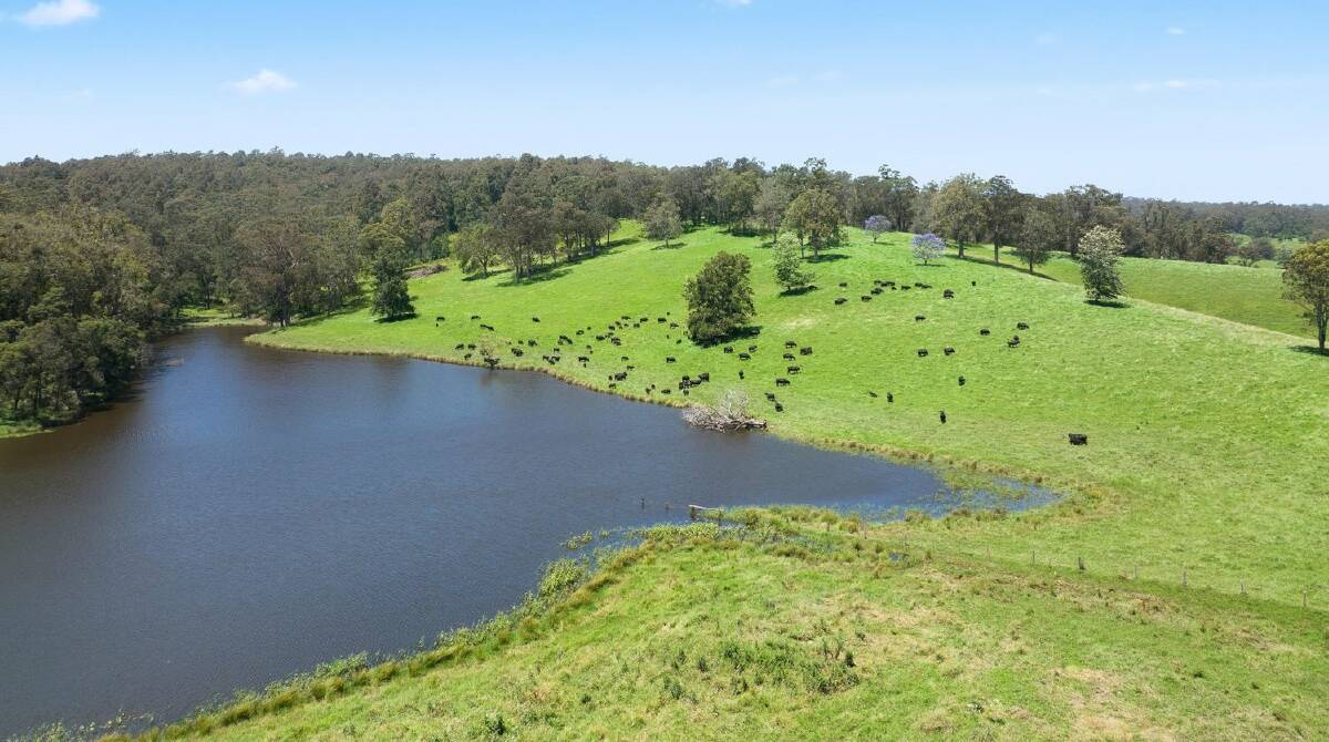 LIFESTYLE AND BUSINESS: The highly productive South Coast farm of Bonny Doon is being offered at auction. Pictures: Webster Nolan Real Estate.