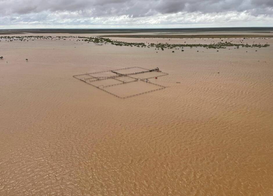 Cattle yards have been submerged by floodwater on Lake Nash. Pictures from Georgina Pastoral Company.