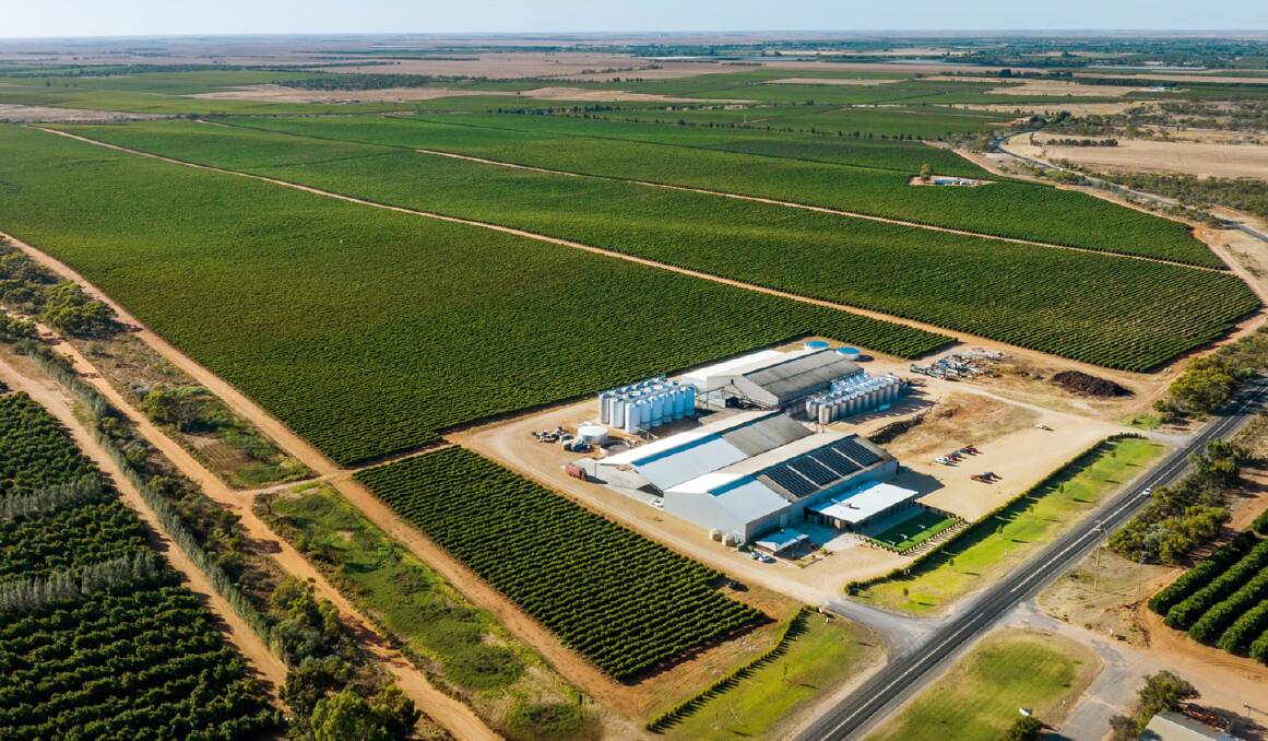 One of South Australia's biggest wine companies is on the market. Pictures from Colliers