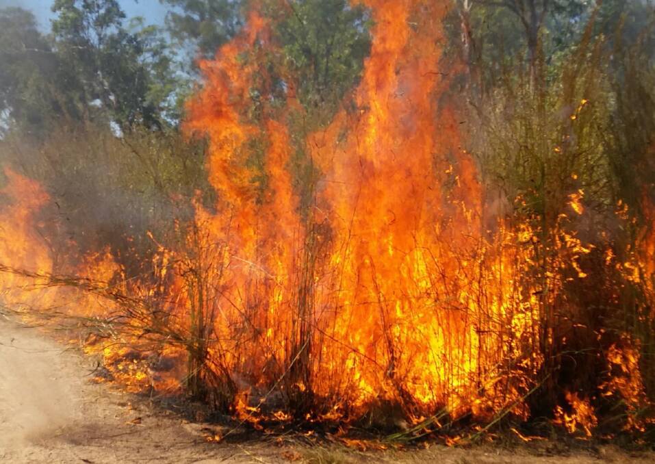 NT volunteer firefighters say the rapid spread of Gamba is threatening lives.