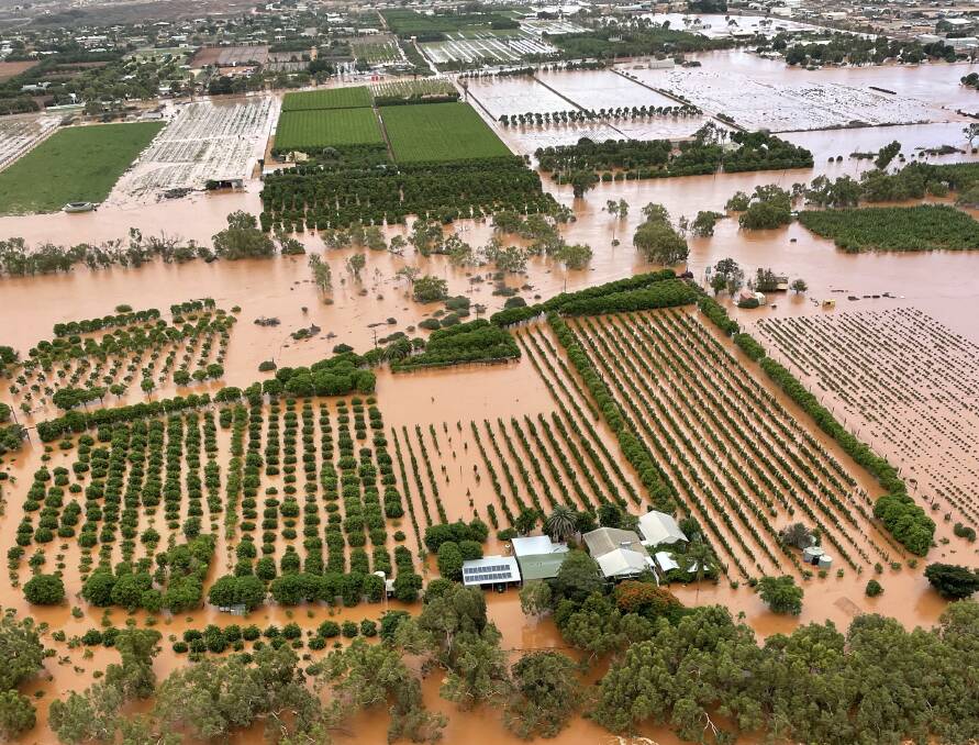 Not surprisingly after three La Nina's in a row, the impact of wet weather is weighing heavily on the minds of farmers. Picture from Vince Catania.