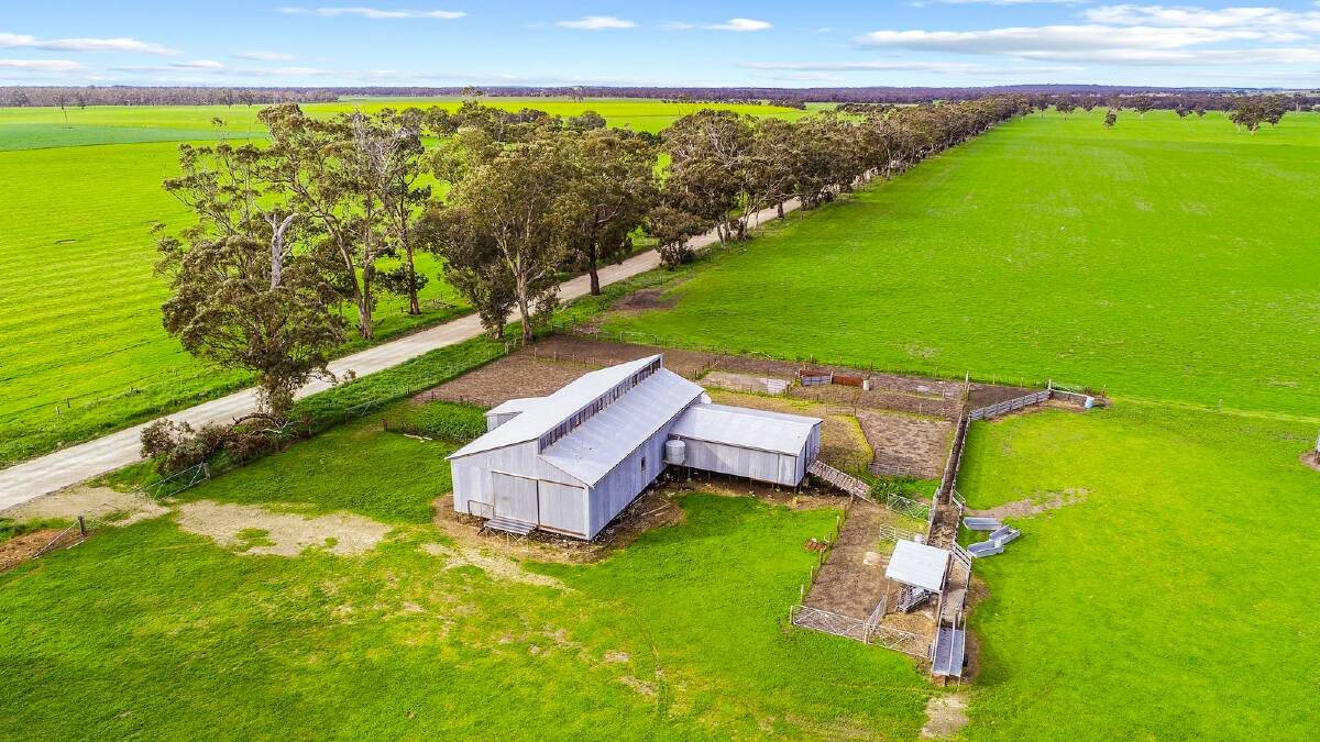 Three-way contest at auction pushes the prices up for farm land