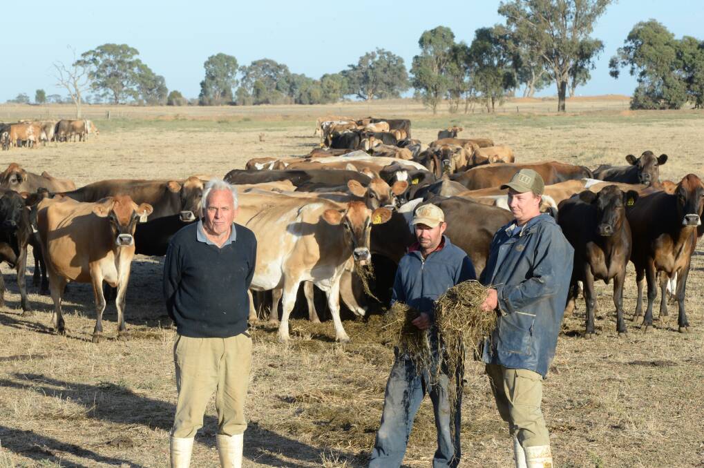 John Brien, Cornelia Creek, Tongala, Vic, with his full-time employees Scott Thompson and Dallas McIntyre. Mr Brien blames carryover water for the dairy industry's troubles. Photo: Rachael Webb