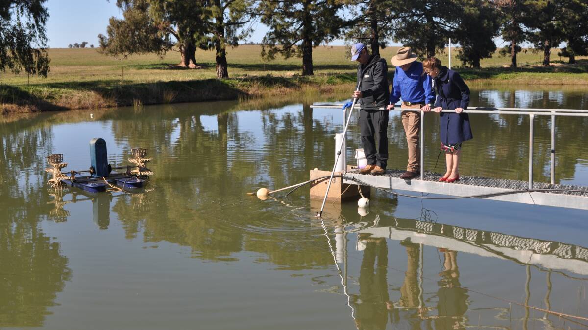 Fisheries Centre hatchery manager Matt McLellan, Agriculture Minister Adam Marshall and Cootamundra MP Steph Cooke at one of the breeding ponds.