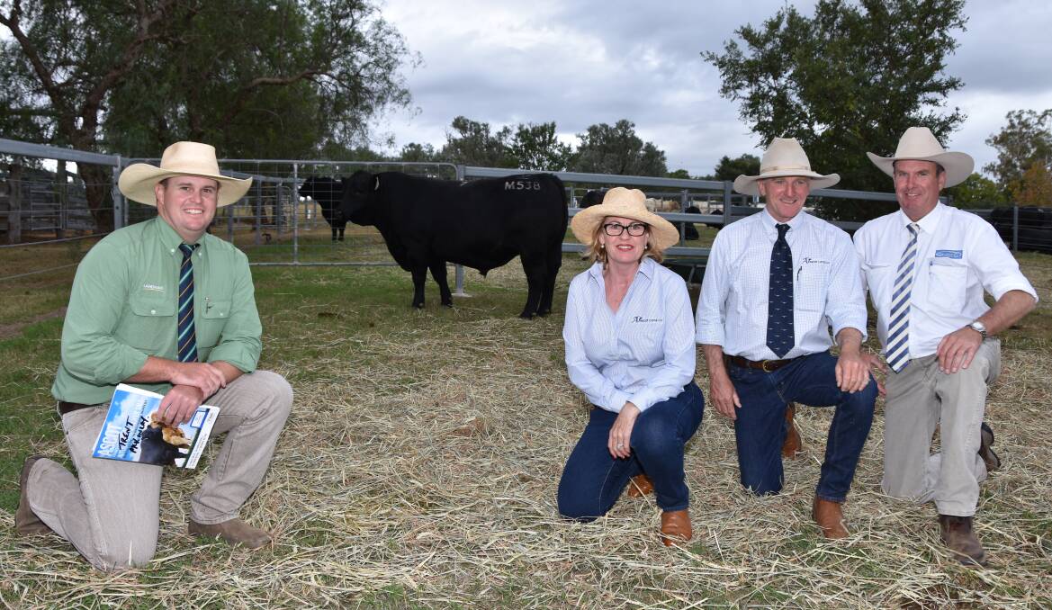 Trent McKinlay with top priced Angus bull,  Ascot Maestro M538, who sold for $16,000 and pictured with Jackie and Jim Wedge plus Paul Dooley, Tamworth.