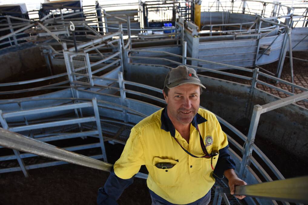 Ashvale Station manager Tim Collins in the opeation's cattle yards.
