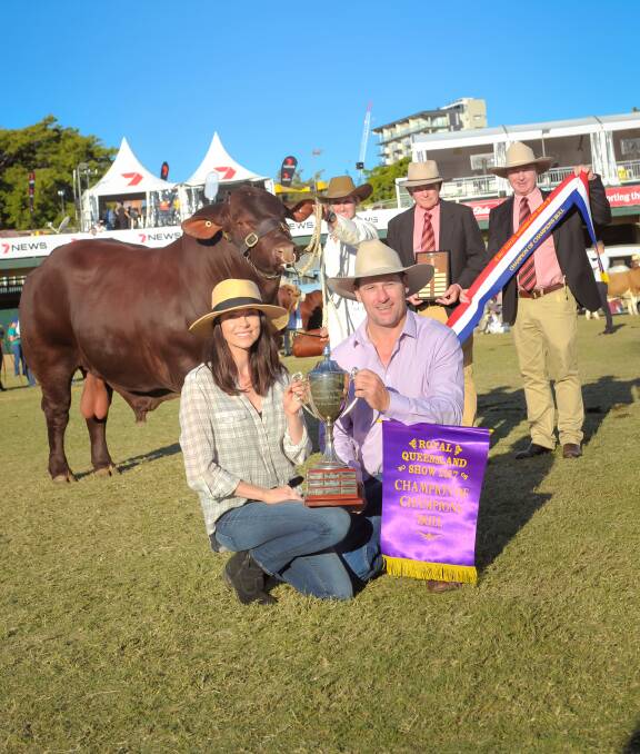 Fiona and Andrew Bassingthwaighte celebrated the first Santa Gertrudis Champion of Champions bull win in 20 years, which was awarded to Yarrawonga Fixer.