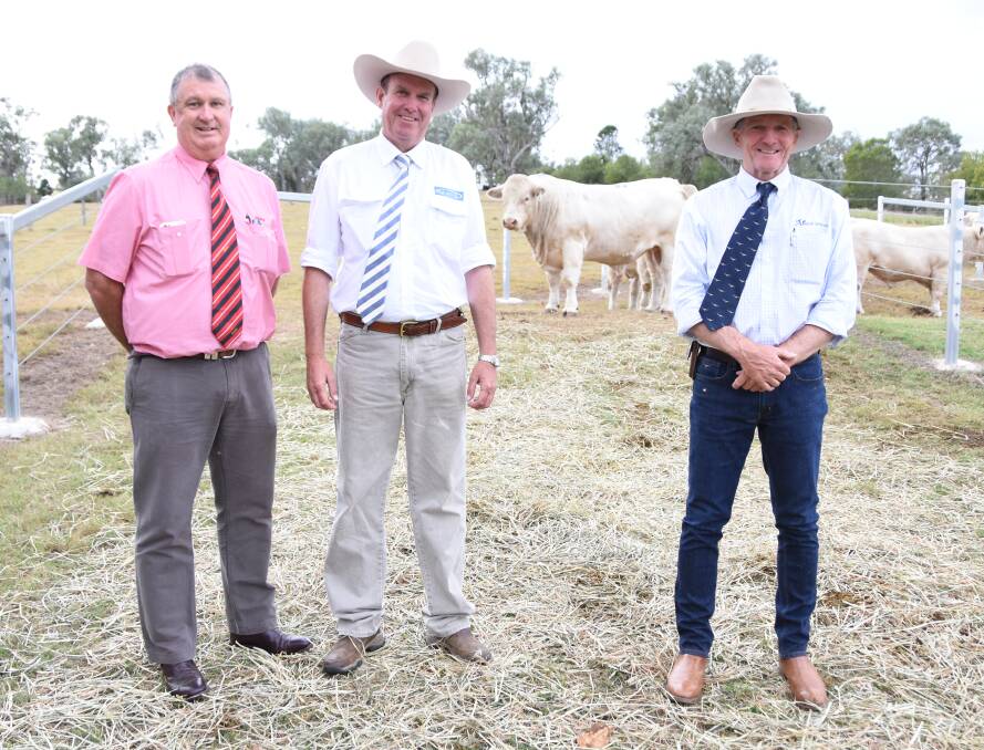 Top priced $16,000 Charolais bull, Ascot Marvel M21E, with  AuctionsPlus manager Bob Jakins, Paul Dooley, Tamworth and Ascot stud principle Jim Wedge.
