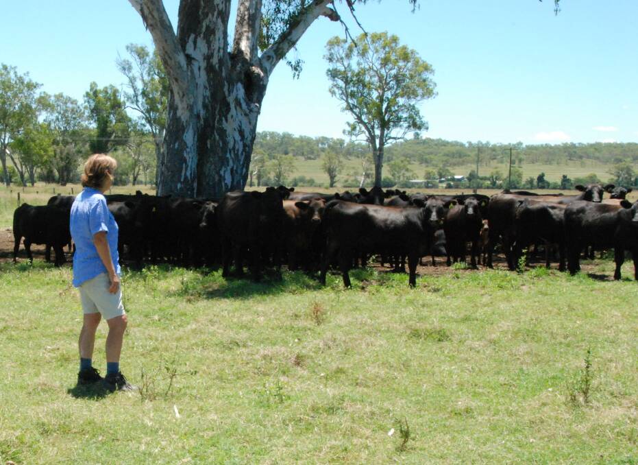 Lee-Anne Geri checking on their Rawganix Farm cows and calves.