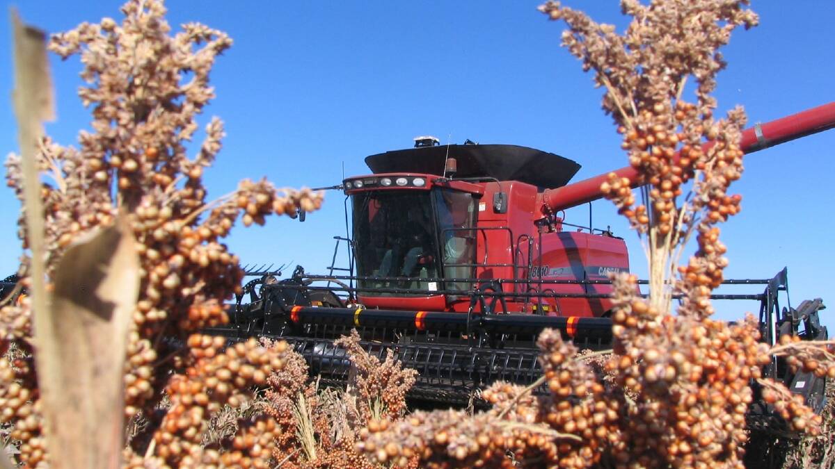 There have been some big yields and plenty of solid results in this year's sorghum harvest.