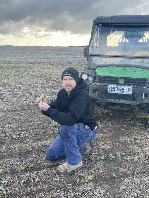 CAUTIOUS: Wimmera farmer Tim Rethus is keeping an eye out for slugs.