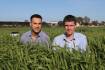 AGT unveils a high Calibre new wheat