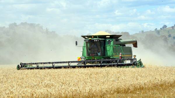 Australian grain producers are seeing historically high prices on offer in the lead up to harvest. Photo by Gregor Heard.