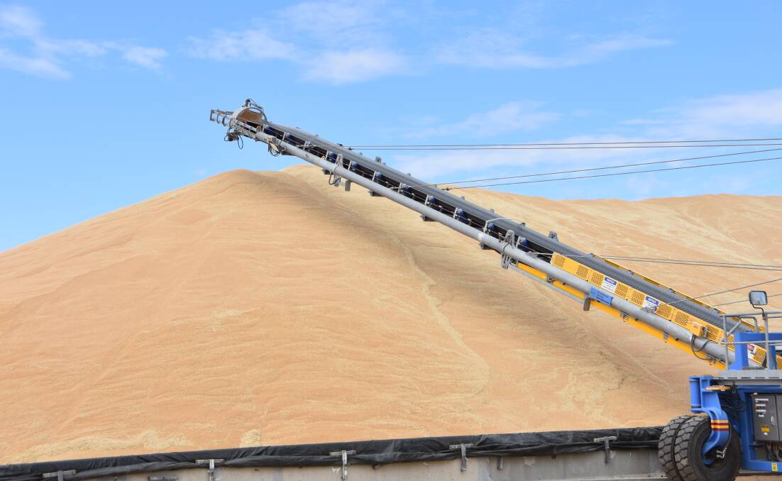 A MATTER OF STACK: Farmers are trying desperately to put together parcels of milling grade wheat due to the high premiums for human consumption grade product.